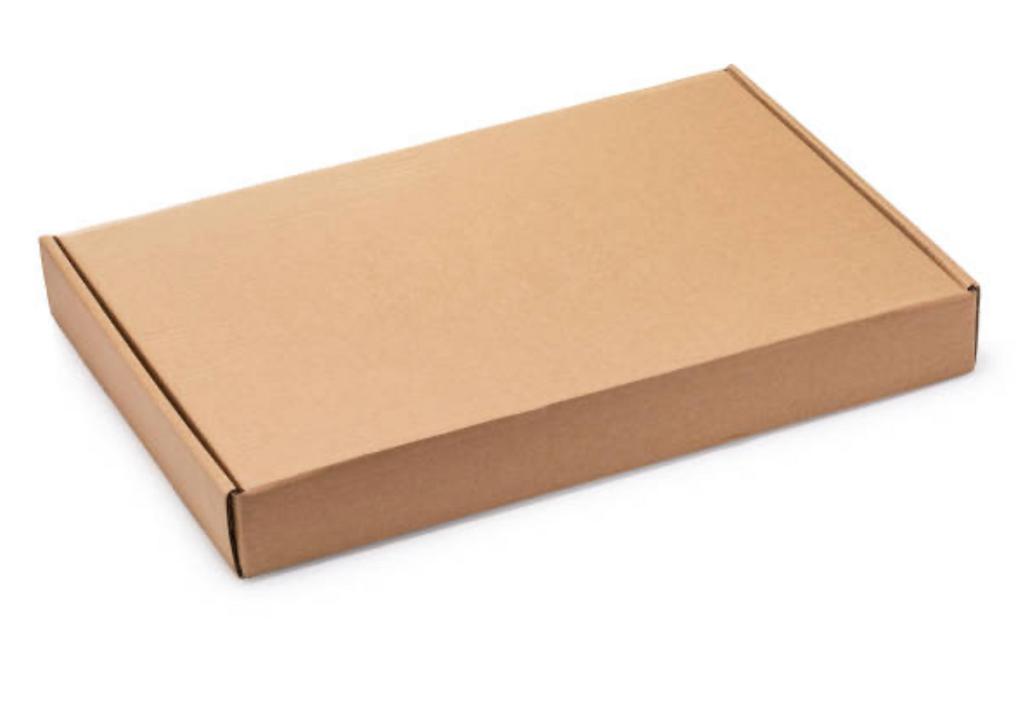 A6 brievenbusdoos – 160 x 120 x 25 mm - met klep - Packaging Discounter B.V.